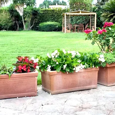 Budget With Garden - Airport - Self Check-in Apartment