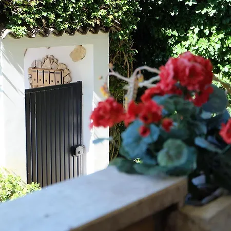 Apartment Budget With Garden - Airport - Self Check-in Fiumicino