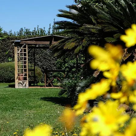 Budget With Garden - Airport - Self Check-in Apartment Fiumicino